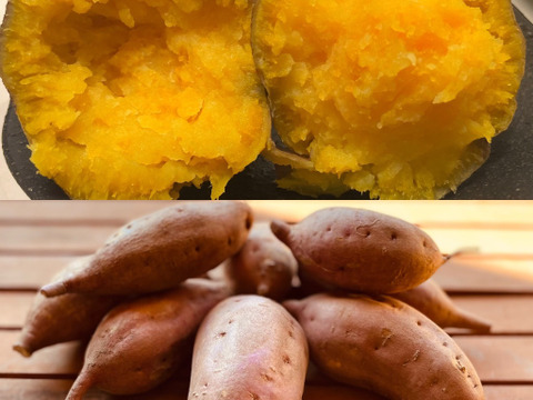 【期間限定！】カラダ喜ぶ『お試しS冬のカラフル野菜セット6品目』