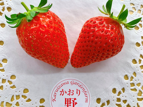 ★冷涼な軽井沢は7月までがいちごの旬★【軽井沢高原いちご・化学農薬を限界まで抑えたこだわりの当園独自農法】☆数量限定・お買い得商品★ご自宅・プロ用☆（無選別６００ｇ）