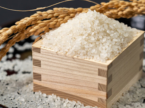 定期便3kg 極のササニシキ 新米 令和7年