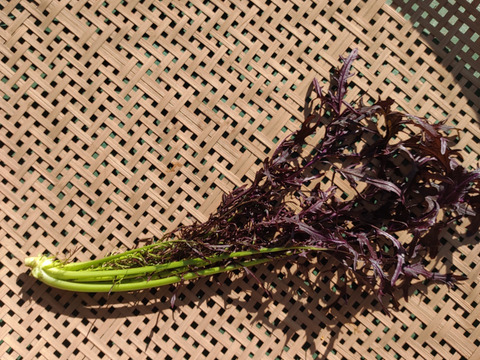 [なゆた農場]冬の葉物野菜セットLサイズ（10袋分）