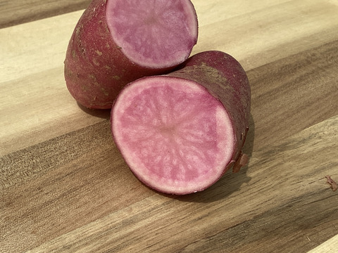 ノウフク　カラフルじゃがいもミックス 1kg　【栽培期間中農薬化学肥料不使用】