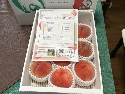 coron様専門、川島島白桃３キロ美品＋ワッサー３キロ美品２箱同梱発送で送料割引 もも】🍑川中島白桃 3キロ 🍑【硬めでも柔らかめでも美味しい】【山形