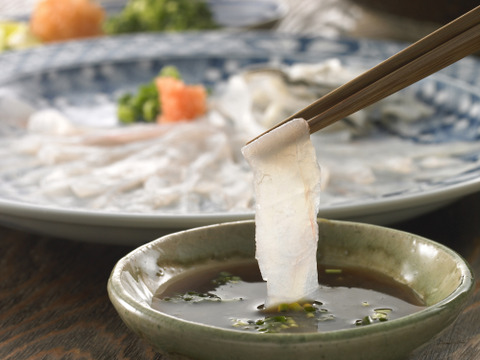 【ミシュラン御用達!】【数量限定!】【期間限定!】【大皿使用】国産高級!!天草とらふぐ刺身セット(3～4人前)