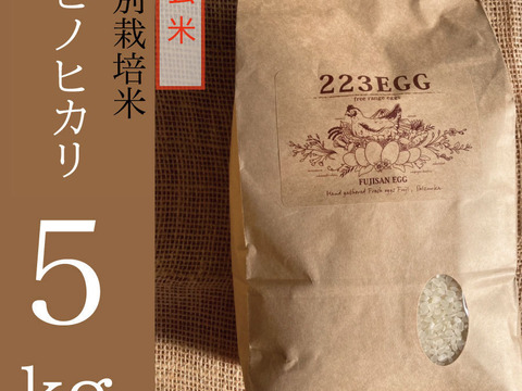 ＜玄米＞特別栽培米「ヒノヒカリ」[ 5㎏ ]【令和5年米】