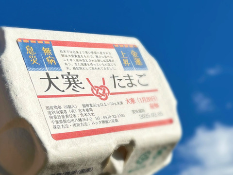 ✨‼️無病息災金運上昇‼️✨大寒卵(宮たま白)×36個