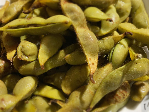 丹波産の丹波黒枝豆！【莢とり 900g(300g×3袋)】農薬/化学肥料/除草剤不使用、真心こめて育てました！今だけの特別な味をぜひ『10月20日頃より発送』