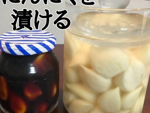 【500箱売れた】食べなきゃ損！人生に一度は食べてみたい★掘りたて青森産「生」にんにく大玉300ｇ