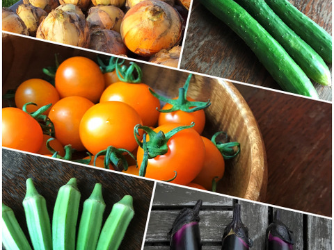 【自然栽培】旬のおまかせ野菜セット｜6～7品目★農薬・肥料不使用