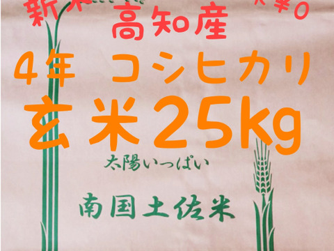 令和4年産 高知県産 新米コシヒカリ 玄米25㎏(袋込み)