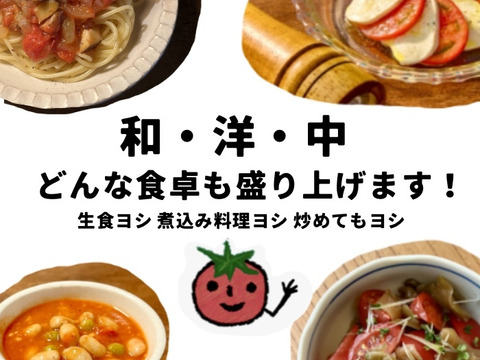 ［予約販売］むぎゅっとがっしり！！べっぴん！濃旨フルーツトマト（箱入り・約1kg)