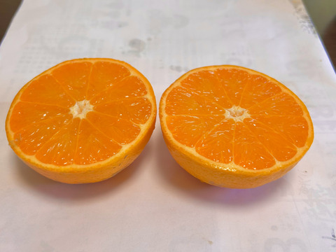 完熟タンカン（贈答用5kg）