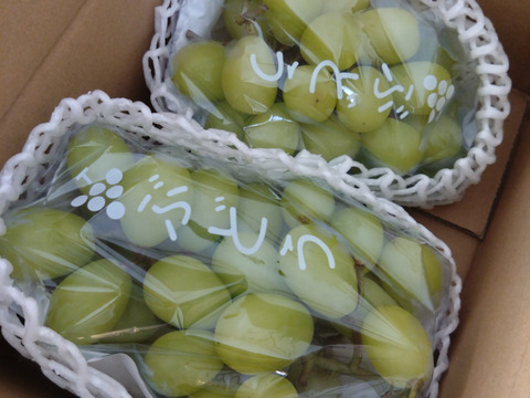 とちあいか 豆しば農園 農家直送品 3kg 販売終了間近 超お買い得