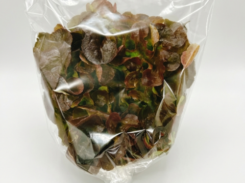 【農薬不使用】至宝のレタス 3種ミックス（1kg）硝酸態窒素最大90%カット！
