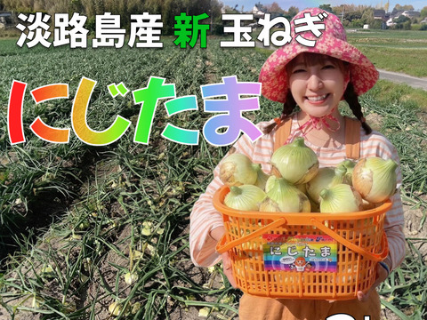 生産農家直送 淡路島産ブランド新玉ねぎ 『にじたま』極早生品種 3kgダンボール入り（ご家庭用・9個前後） 使いやすいM・L・2L混在！≪水分量No1!!≫特別栽培