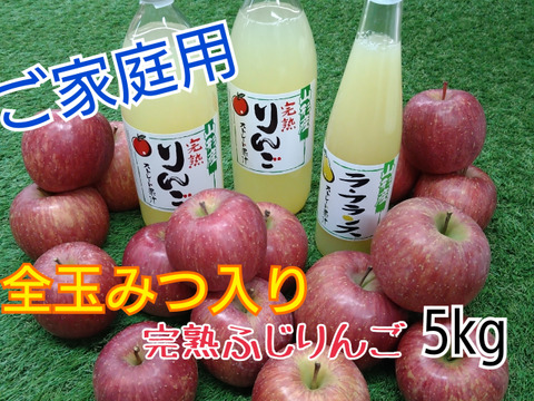 全玉みつ入り◆ご家庭用◆完熟ふじりんご約5kg&ジュース3本セット