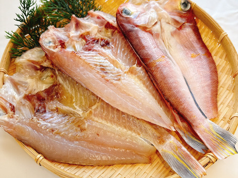 【遠州灘産】赤甘鯛の一夜干し100~200g*2pc