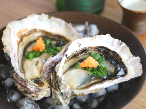 【夏ギフト】濃厚「五島列島」岩牡蠣　L10個(生食用)+ギフトシール付き！料亭の味