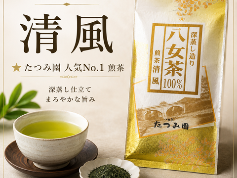 新茶✨当店人気 八女茶100g×5本セット（同一茶葉）