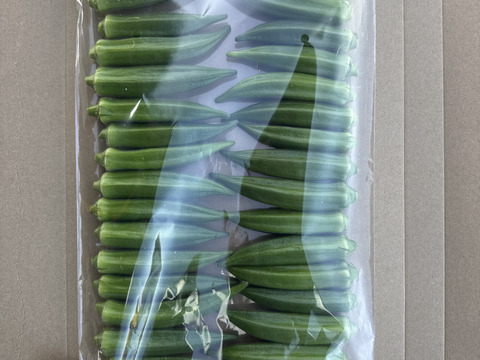 【朝採れ新鮮‼️鹿児島・指宿産オクラ（正品）】32本入り