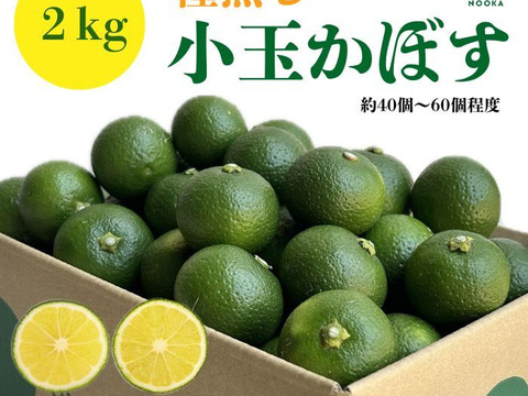 小さくて使いやすい！種無し小玉かぼす2kg（約40～60個）：大分