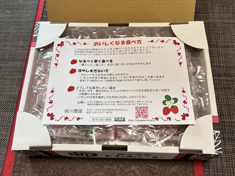特大(2P) 500g以上【いちご・とちあいか】どでかいビックリサイズ厳選いちご★栃木県産いちご「とちあいか」(２パックx280g)●甘さがキラリ大粒いちご●お届け日指定可