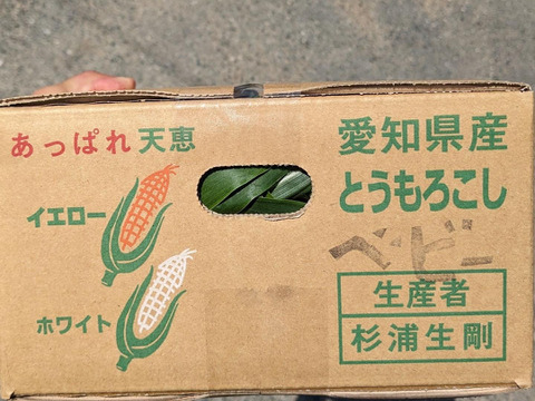 【今だけ限定】天ぷらが絶品！あっぱれベビーコーン 栽培期間中農薬不使用（2㎏×20本前後）