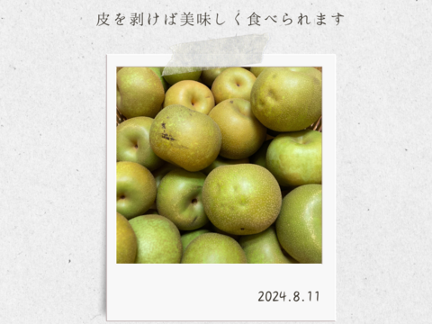 【幸水3kg箱いっぱい】【家づかい用】甘さダントツ一番！太陽の恵みいっぱい！庄内甘熟梨