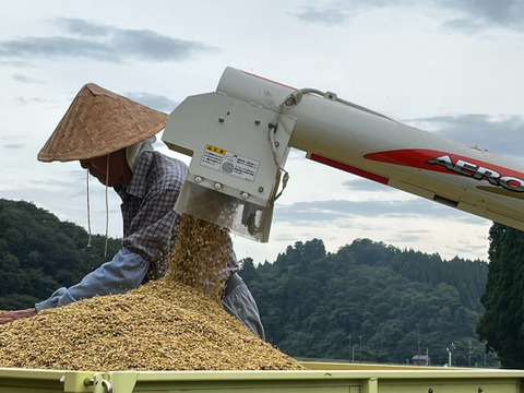 特別栽培米コシヒカリ（白米）9kg 　令和5年石川県産