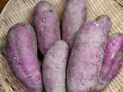 【数量限定】IdeaFarmのしっとり甘い紅はるか　 4㎏