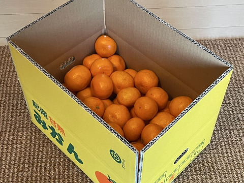 特別ご奉仕品　甘熟「宮川早生みかん」サイズ混合5Kg