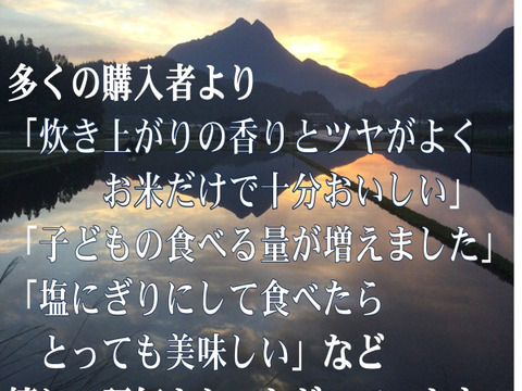 【令和7年産新米】”ゆふいんのめぐみ"ひのひかり白米10kg