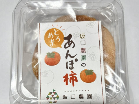 【あんぽ柿】＜ご家庭用に最適！＞（秀品）中サイズ10個段ボール箱入り