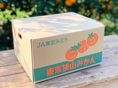 【大粒！】幻の東京狭山みかん・2Lサイズ10kg【溢れる果汁】