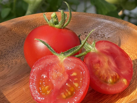 🌟大特価🌟【冷凍フルーツトマト】完熟越え！！甘さが最高潮の割れフルーツトマト「ポモロッサ」加工用1㎏