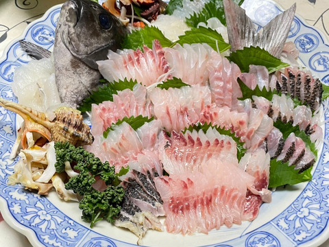 【全身トロと言われる美味しさ】彗星の如く現れたサラブレッド『幻のスマガツオ』業界初パウダースノー冷凍で最高鮮度の本格刺し盛りをご自宅で🐟20代女性漁師が手掛ける甑島ブランド【冬ギフト】【12月中旬】