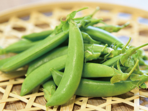 数量限定 ちょうど良い量 スナップエンドウ 700g 滋賀県産 食べチョク 農家 漁師の産直ネット通販 旬の食材を生産者直送 数量限定 ちょうど良い量 スナップエンドウ 700g 滋賀県産 食べチョク 農家 漁師の産直ネット通販 旬の食材を生産者直送