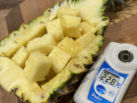 【石垣島直送】手でポコットちぎっても食べらる。濃厚ポコットパイン 5kg（５〜7玉）｜前花パイン農園（沖縄県石垣島産パイナップル）