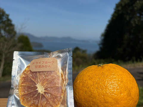ドライフルーツ（甘夏みかん）1パック（10g）×6個　砂糖不使用　甘夏は栽培期間中に農薬・化学肥料不使用