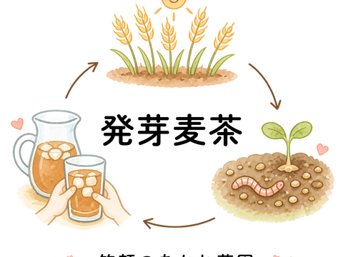 発芽麦茶　自然栽培