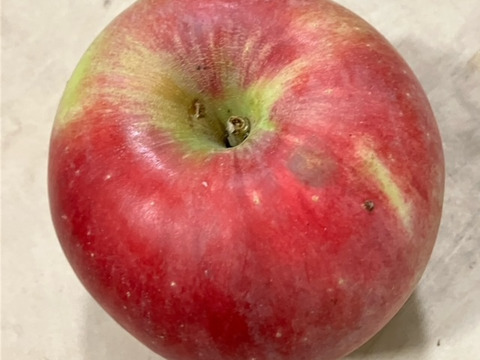 りんご アニーエリザベス (キズ有B品2㎏)