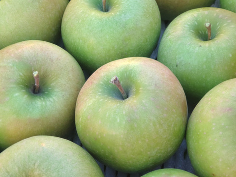 アップルパイにはこのりんご！グラニースミス　約2.7kg