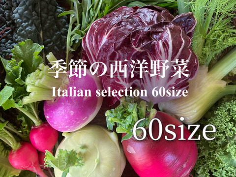お料理の幅が広がる！ 季節の西洋野菜 Italian selection 60サイズ