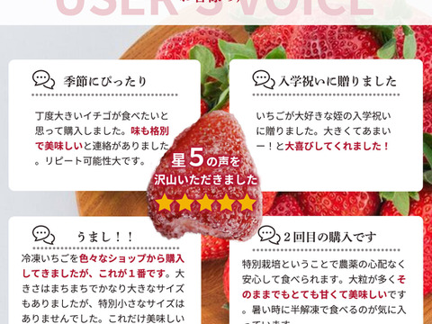 【冷凍いちご】あまおう いちご たっぷり5㎏