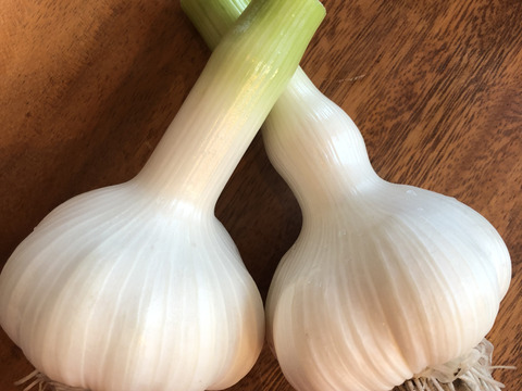 【数量限定】青森県産 にんにく 玉 10kg 福地ホワイト お得 訳あり whiter.jpg?fitin=272:272