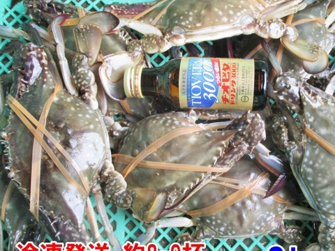 冷凍ガザミ オス中サイズ ２kg（約9杯）日本三景松島産★ワタリガニ ガサミ がさみ 渡り蟹 わたりがに 冷凍蟹 冷凍カニ 冷凍カニ ケジャン 梭子蟹 松島牡蠣屋 雄