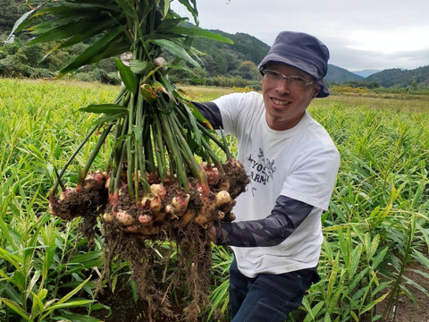 SAGO様専用【土佐一生姜1㎏】