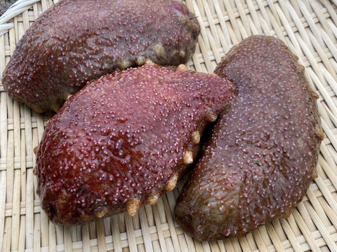 【江田島産】赤ナマコとサザエのセット