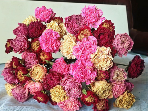 セットアップ 芍薬(シャクヤク) ドライフラワー おまかせ10本セット お花 はな フラワー・リース
