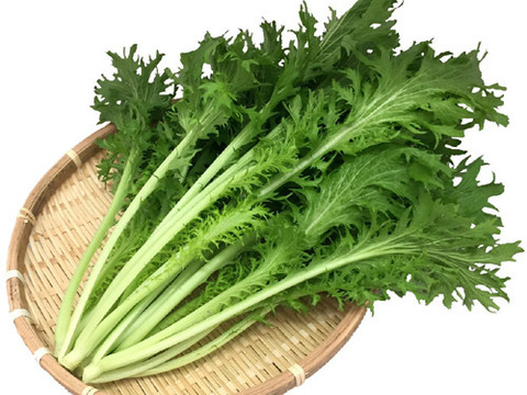 野菜ソムリエ推奨！鍋におすすめの野菜詰め合わせセット【鮮度抜群！鍋を香りと食味で楽しむ8品目】