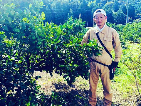 数量限定！2025年の初物みかん！
西果樹園の【極早生みかん2.5kg】